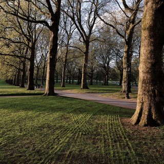 Και που γύρισα στην Ελλάδα, τι κατάλαβα;