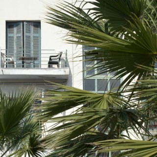 Urban Dig Project  για γειτονιές