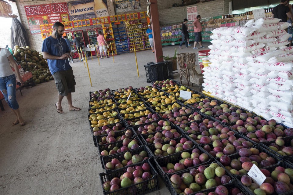 Ποικιλία φρούτων σε αγορά. Ο κύριος που βλέπετε είναι συνάδελφος από το Oneman. 