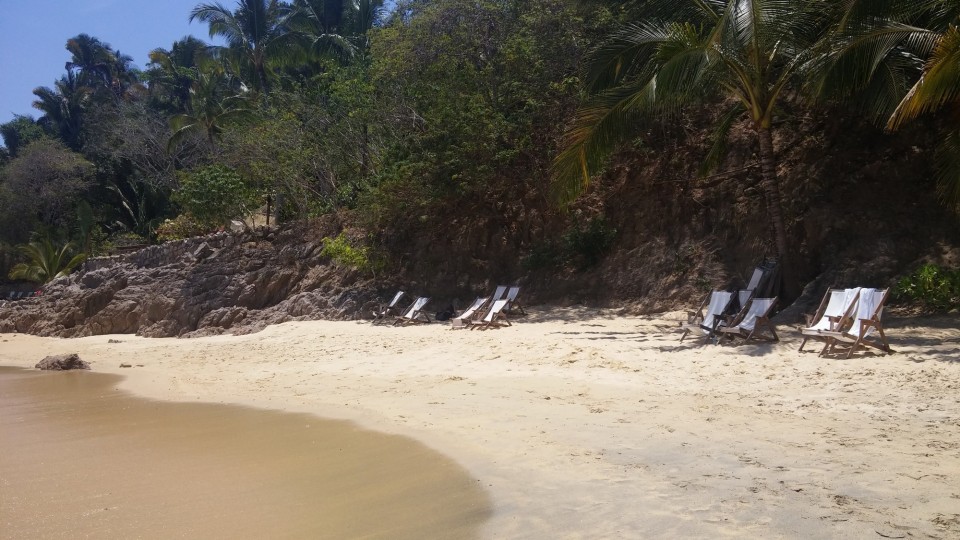 Να τα και τα εξωτικά! 