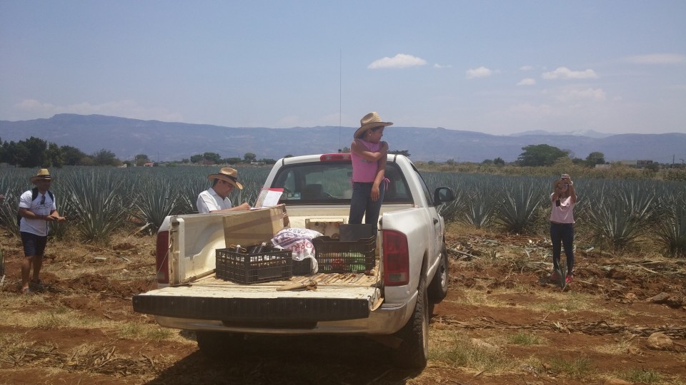 Jimador με το παιδί του. 