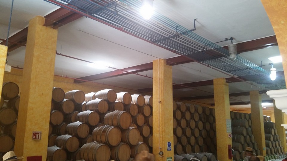 Και μετά την απόσταξη μπαίνουν πρώτα σε βαρέλια. 