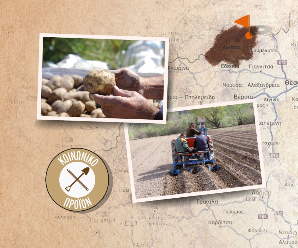 Popaganda-advertorial-photos3