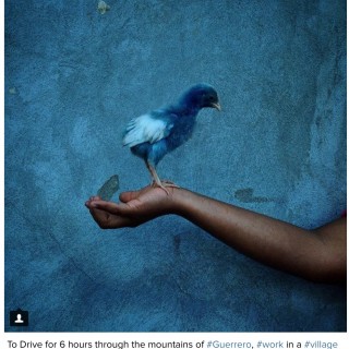 Πέντε κορυφαίοι φωτογράφοι επιλέγουν τους αγαπημένους τους λογαριασμούς στο instagram