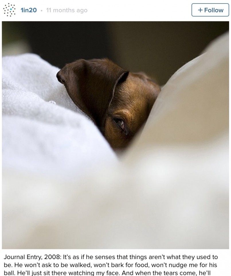 Screen Shot 2015-10-06 at 1.06.45 μ.μ.