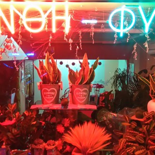 Απόψε δε θα γίνω ο «Αστακός» σου