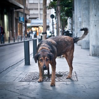 Το Ιστορικό Κέντρο της Αθήνας αλλάζει πρόσωπο