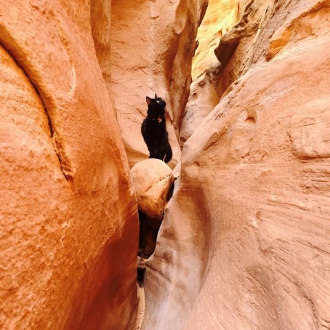 563d082f96771ce632e3c99f_Courtesy-Pechanga