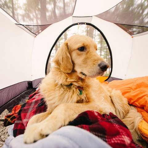 563d08346f74facb3e9d984b_Samantha-Brooke-Lake-Moomaw