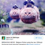 #BrusselsLockdown: Οι Βέλγοι τρολάρουν τον αποκλεισμό στο twitter με γατάκια
