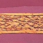 Στο Αρχαιολογικό Μουσείο Θεσσαλονίκης το καλύτερα σωζόμενο αρχαίο ύφασμα