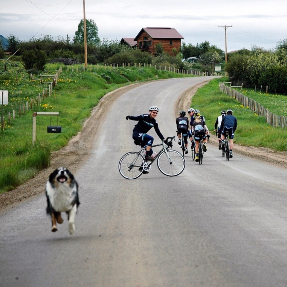 original_79111285bbe43db4bf75a98b91584de6