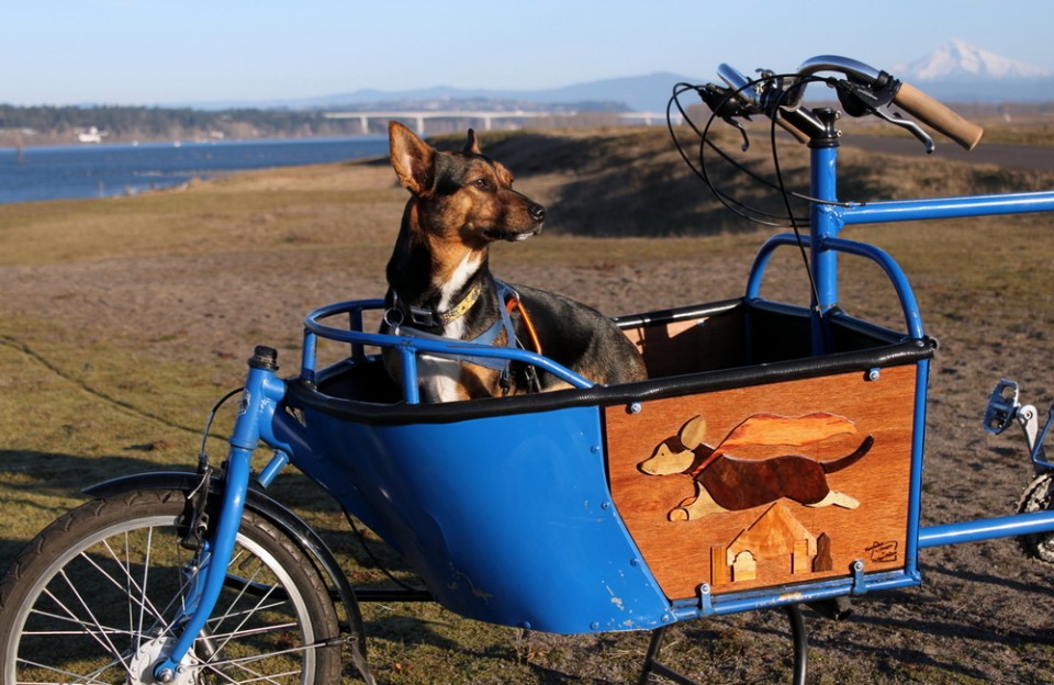 original_7ed74015fe1ff8e43fb5bd63d49d8722