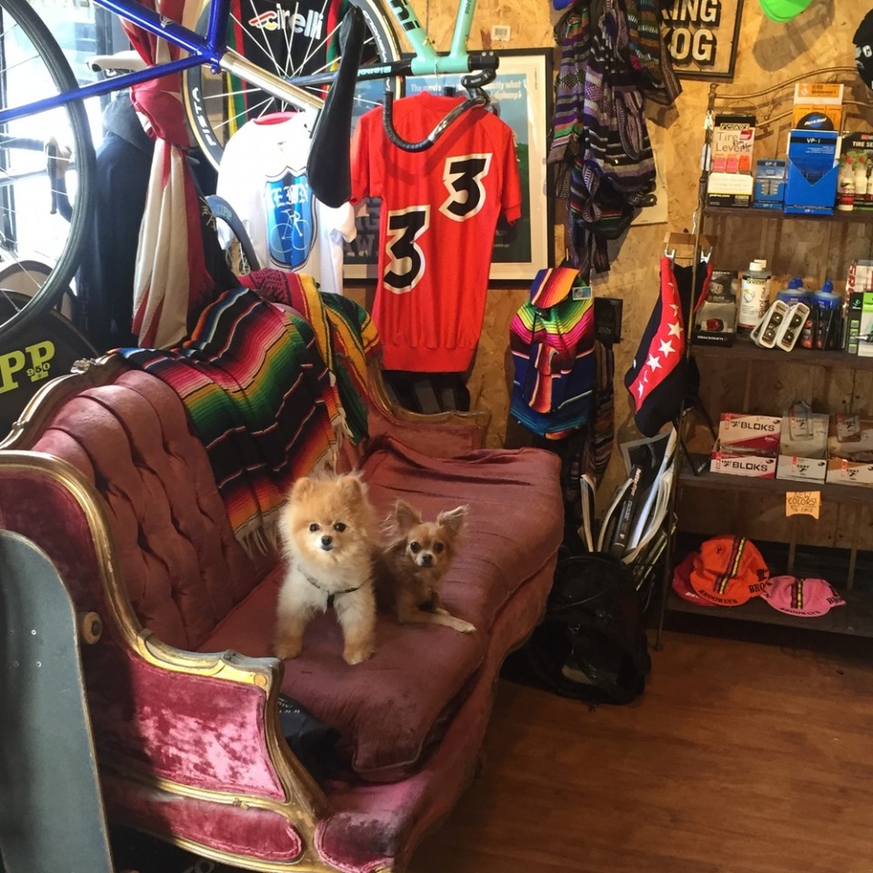 original_9b84092156d75108a077931661a0fbc0