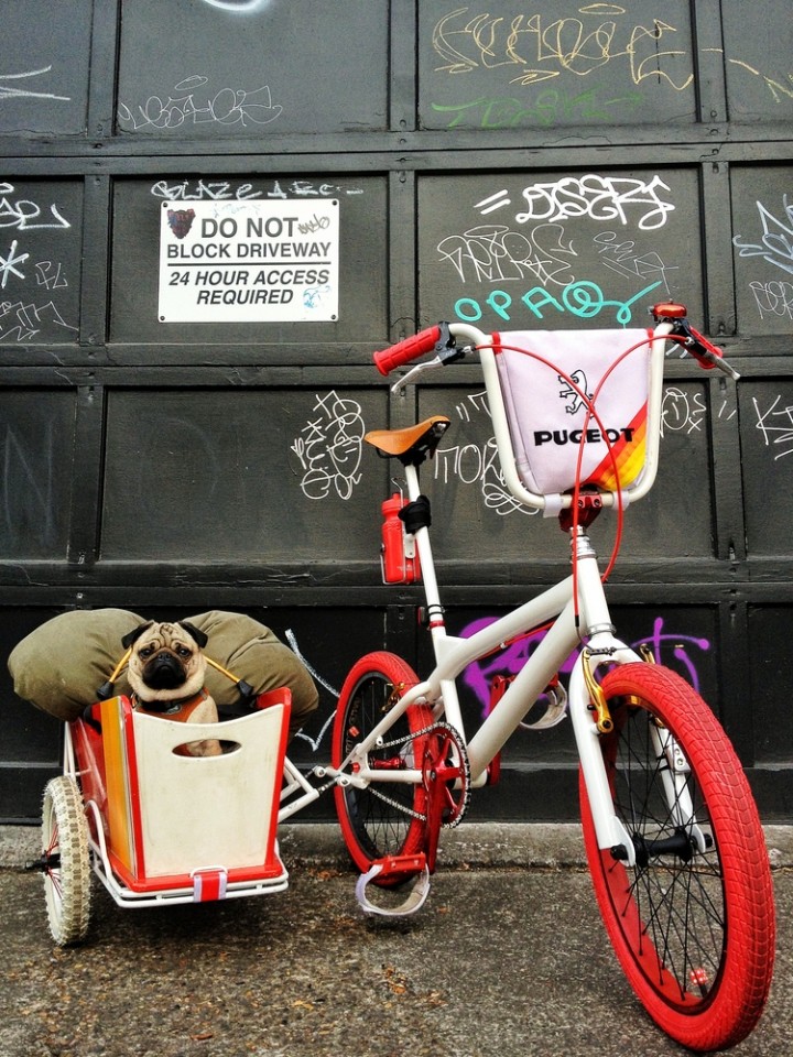 original_b362af712c4718fe1558518de1925ec6