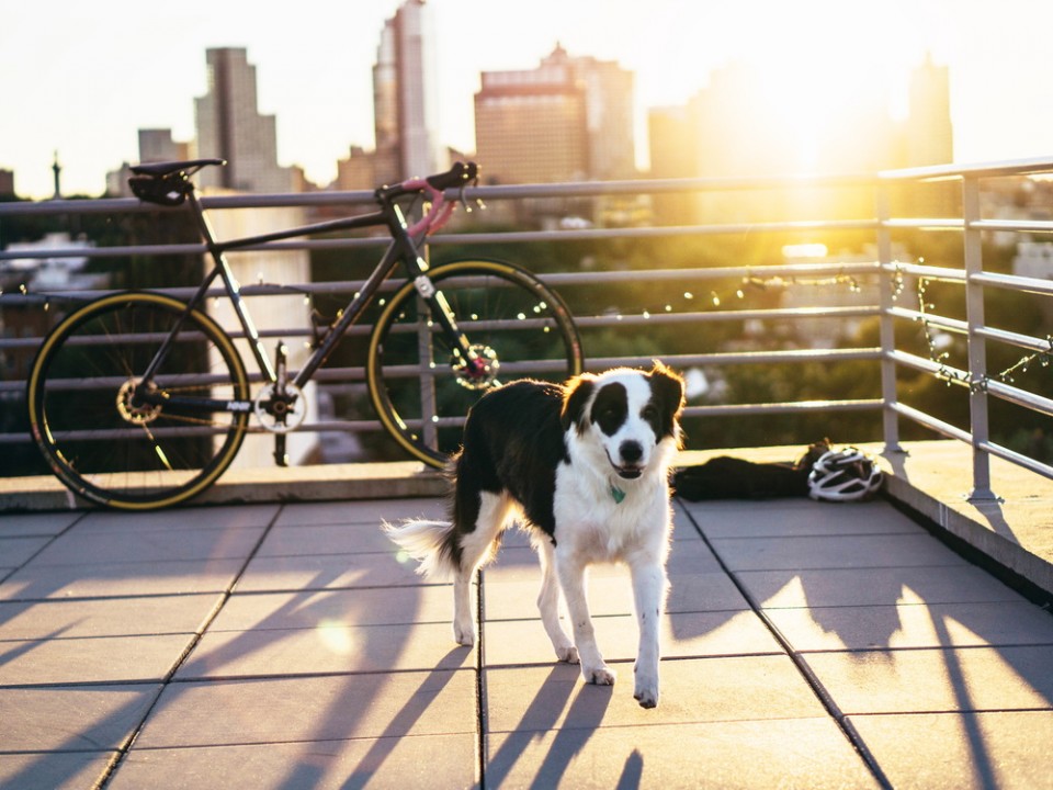 Processed with VSCOcam with s3 preset