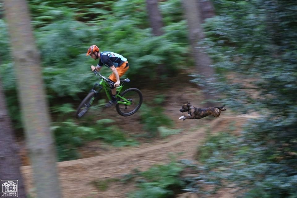 original_ddc6746a55649def1abb8389a697d010