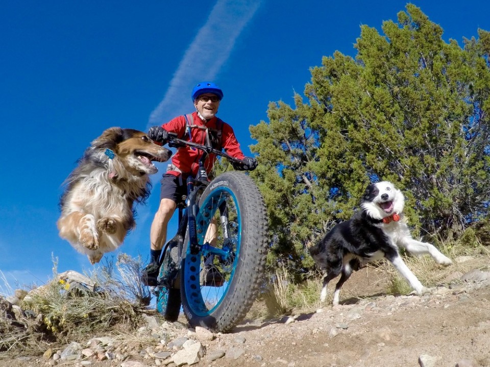 DCIM100GOPROG0052711.