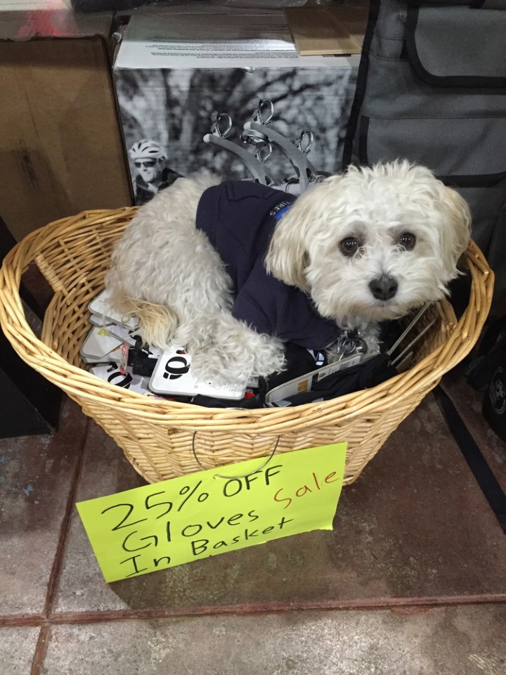 original_e8eb7ddd202542bd689a0edc7b0024ad