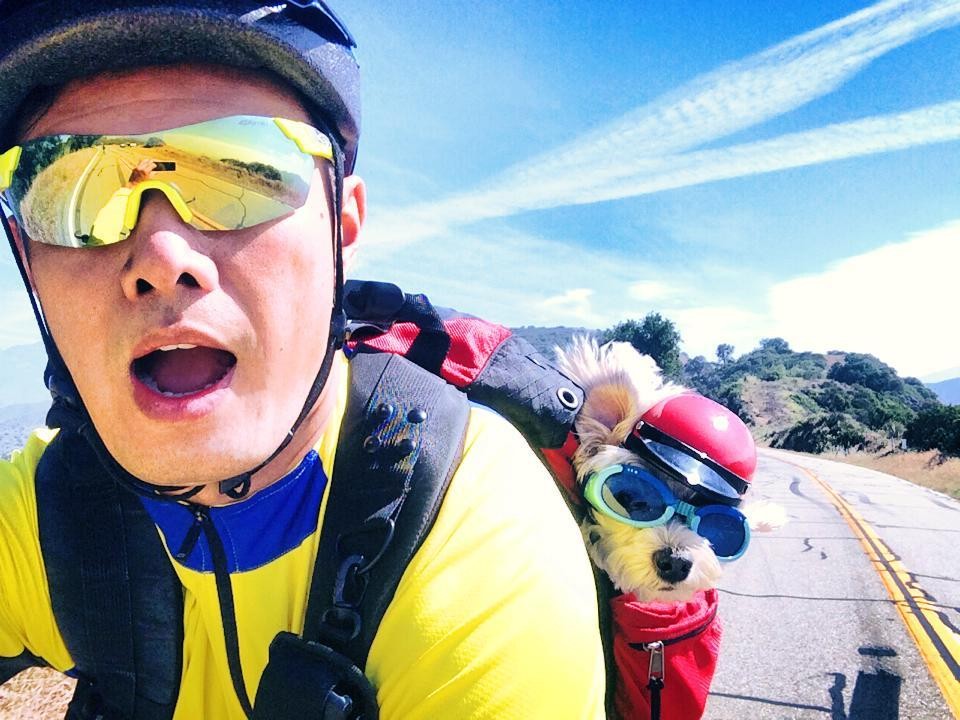 original_fd3611a07cd936aadf8667e7109e0208