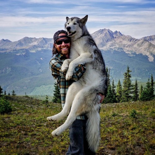 O Kelly Lund ταξιδεύει σε όλο τον κόσμο παρέα με τον σκύλο του γιατί δεν θέλει να τον έχει κλεισμένο μέσα