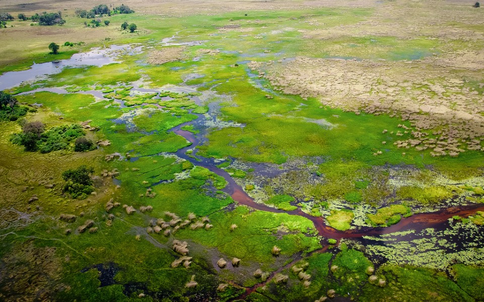 7091222075_7b286271f7_b