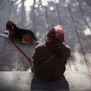 To χάδι- Του Βαγγέλη Σωτήρη