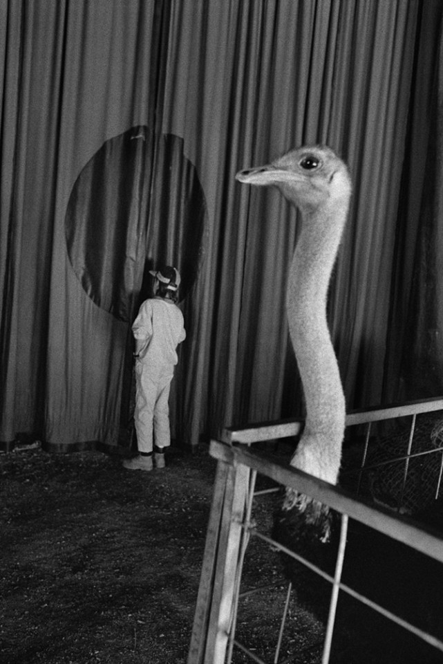 Άκης Δέτσης