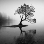 «Μοναχικό Δέντρο σε Λίμνη»: Η φωτογραφία της ημέρας από το National Geographic