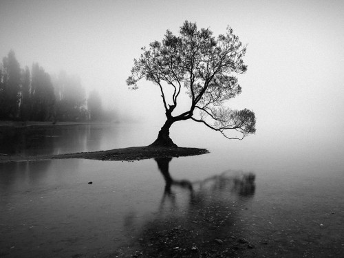 «Μοναχικό Δέντρο σε Λίμνη»: Η φωτογραφία της ημέρας από το National Geographic