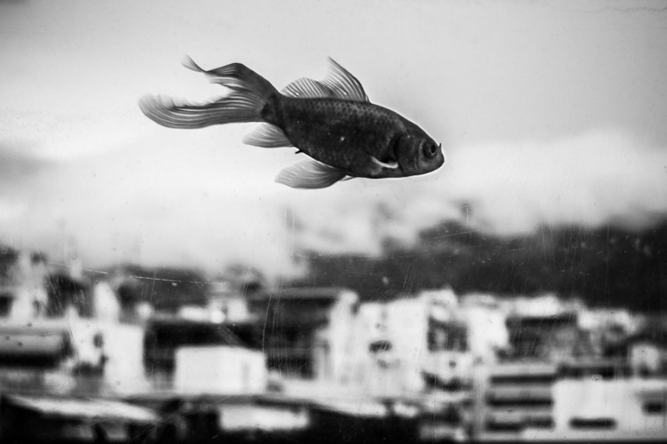 Χρύσανθος Κωνσταντινίδης