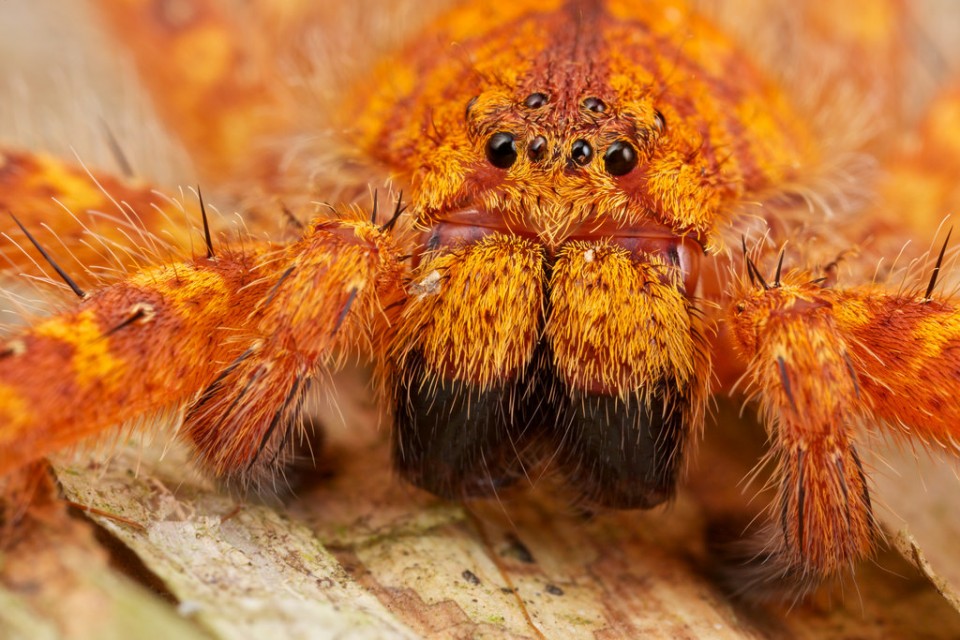 14882976457_5891d7fd3f_b