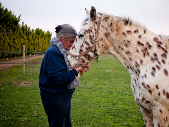 Στην «Ιππόλυση» ένα άλογο μπορεί να σε θεραπεύσει