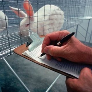 ΗΠΑ: Μοντέλο τοξικότητας υπόσχεται να δώσει χάρη στα πειραματόζωα