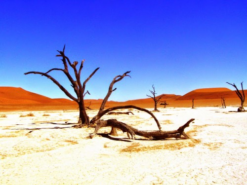Αυστραλέζα εντοπίστηκε στην έρημο έπειτα από 3 ημέρες χάρη στο “SOS” που είχε γράψει στο χώμα