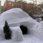 Κάτοικος του Μπρούκλιν νοίκιαζε ιγκλού στην Airbnb έναντι 200 δολαρίων