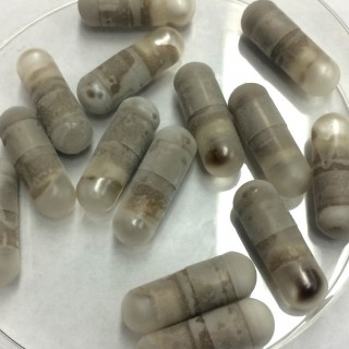 Θα έπαιρνες χάπια από κόπρανα εάν μάθαινες πως αδυνατίζουν;