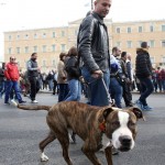 Τι σημαίνει γενική απεργία σ’ ένα βίντεο