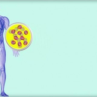 Επαναστατική ανακάλυψη κατά του καρκίνου από επιστήμονες των ΗΠΑ