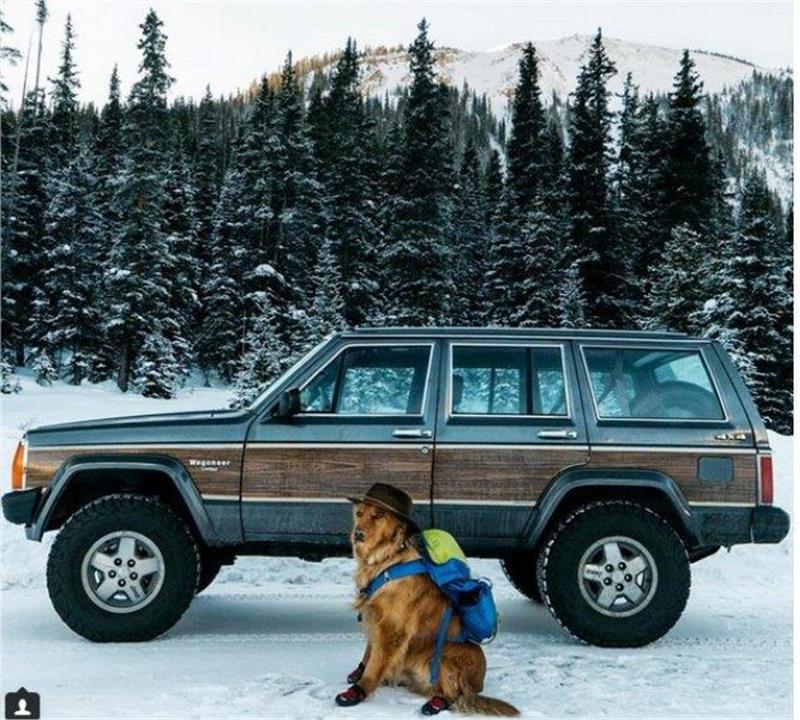 24320075_ASpen5_1454834724327.limghandler