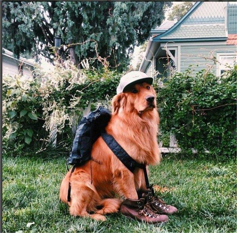 24320076_Aspen3_1454834693221.limghandler