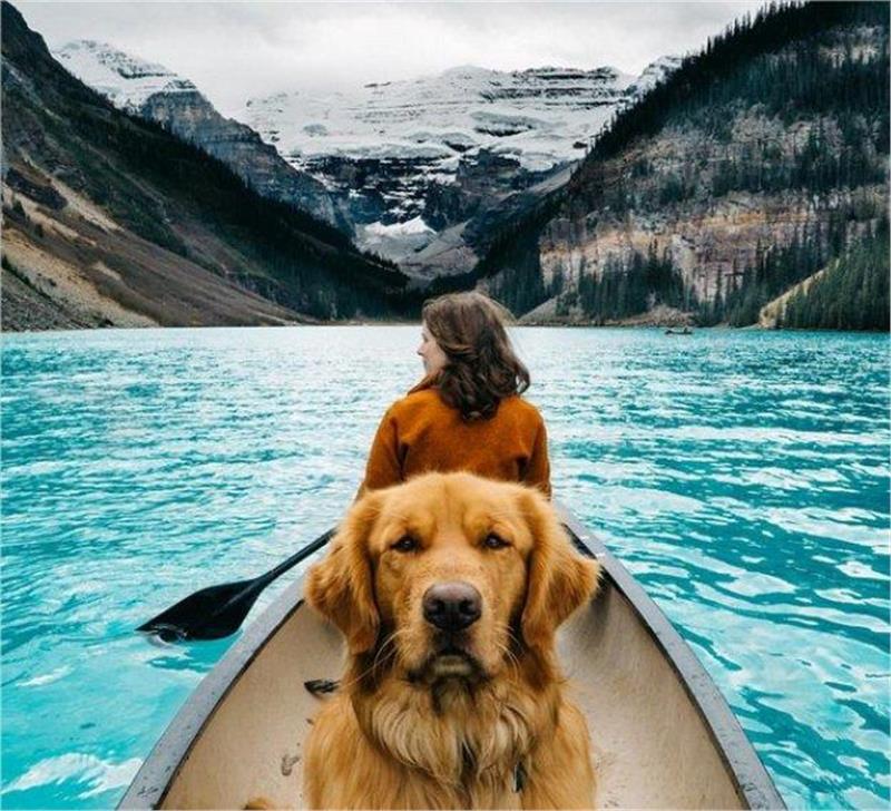 24320077_Aspen2_1454834662628.limghandler