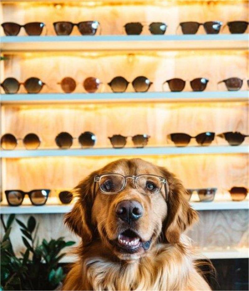 24320079_Aspen4_1454834592722.limghandler