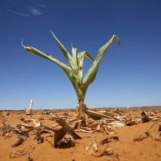 Τον Ιανουάριο του 2016 σημειώθηκε ρεκόρ υψηλής θερμοκρασίας