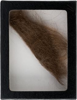 Πόσα πλήρωσε ένας θαυμαστής των Beatles για να αποκτήσει μια τούφα από τα μαλλιά του Τζον Λένον;