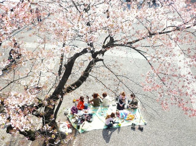 FAIRY TALES AND SCARY TALES by Rikki Kasso © 13