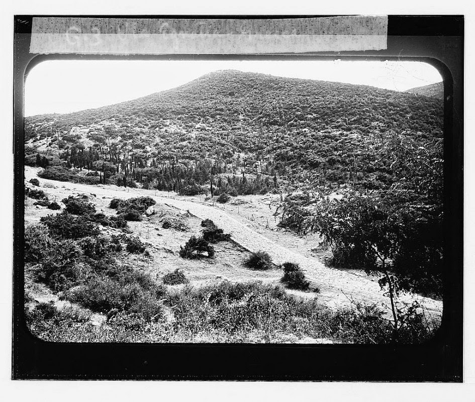 Greece from the 1910s (25)