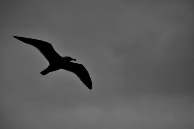 Touching Moments-Rikki Kasso © 6