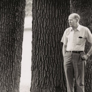 Κουβέντα με το βουνό, του Άρτσι Ράντολφ Άμμονς