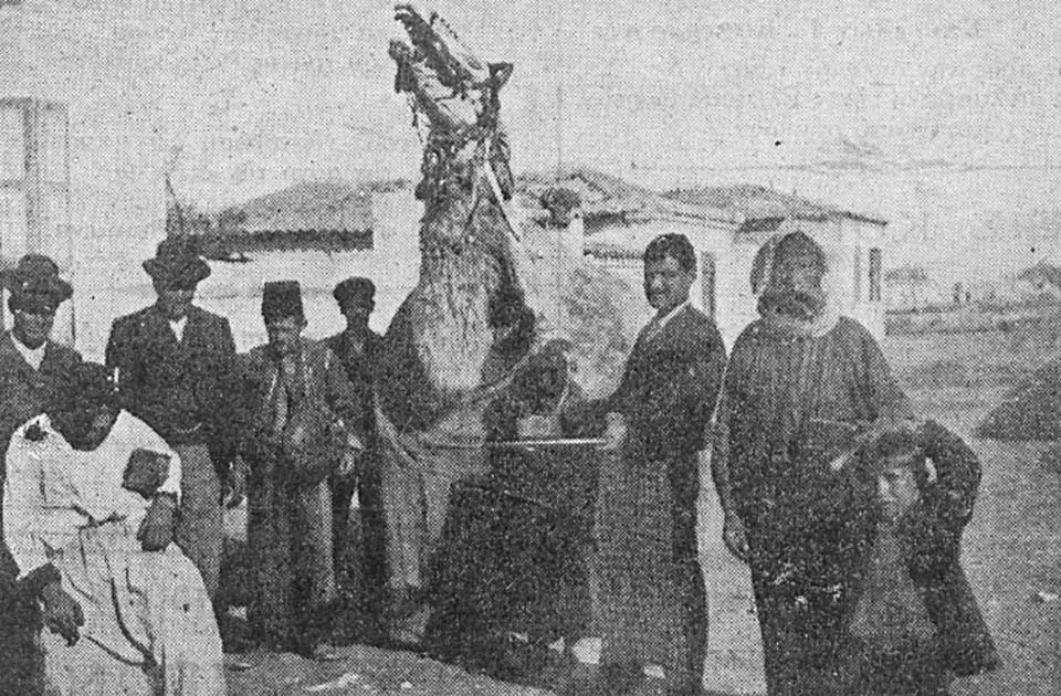 «Καμήλα» (Ελλάς, 10 Φεβρουαρίου 1908)